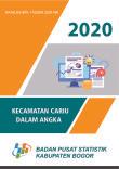 Kecamatan Cariu Dalam Angka 2020